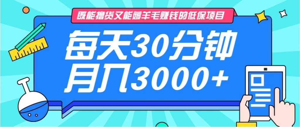 图片[1]-既能撸货又能赚钱的长期低保项目